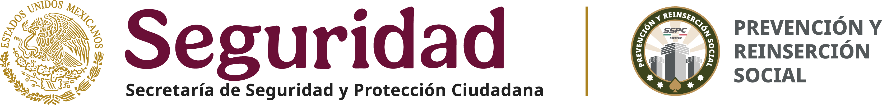 Seguridad y Protección Ciudadana · Prevención y Reinserción Social